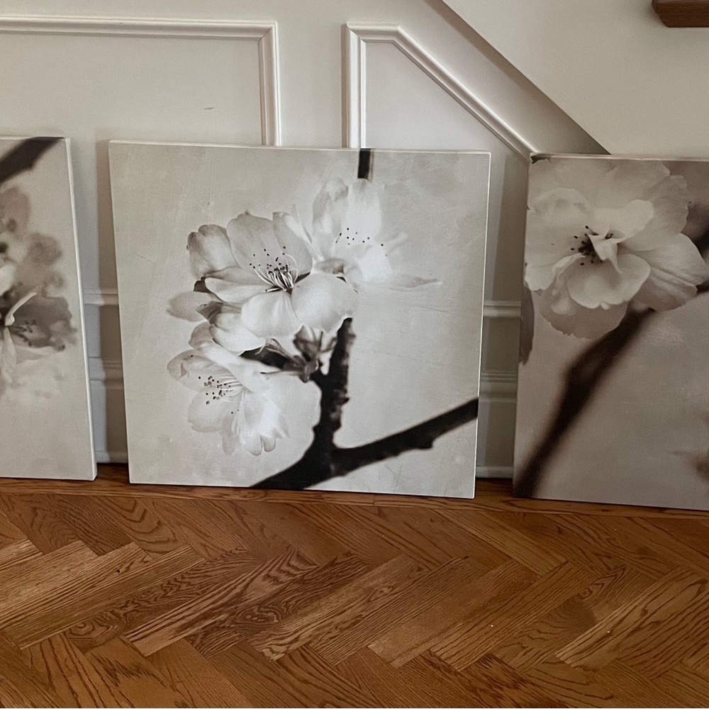 SET OF 3 Cherry Tree Blossom Wrapped Canvas
